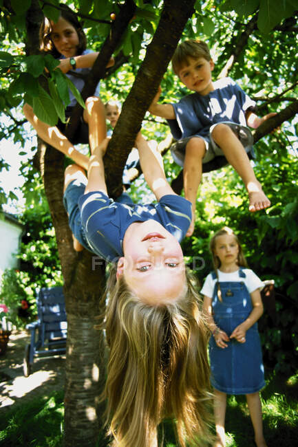Enfants jouant dans l'arbre — Photo de stock