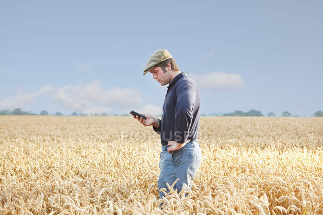 Landwirt benutzt Handy auf Feld — Stockfoto