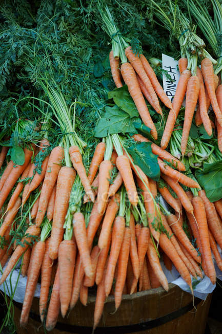 Bunches of fresh ripe carrots — Stock Photo