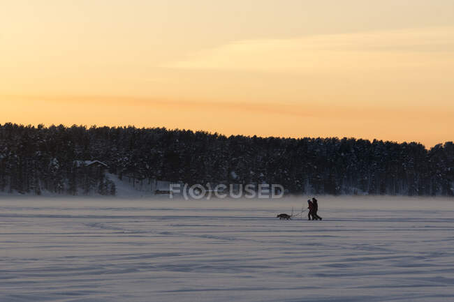 Paysage d'hiver avec un chien dans la neige — Photo de stock