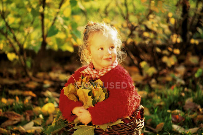 Chica con hojas de otoño - foto de stock