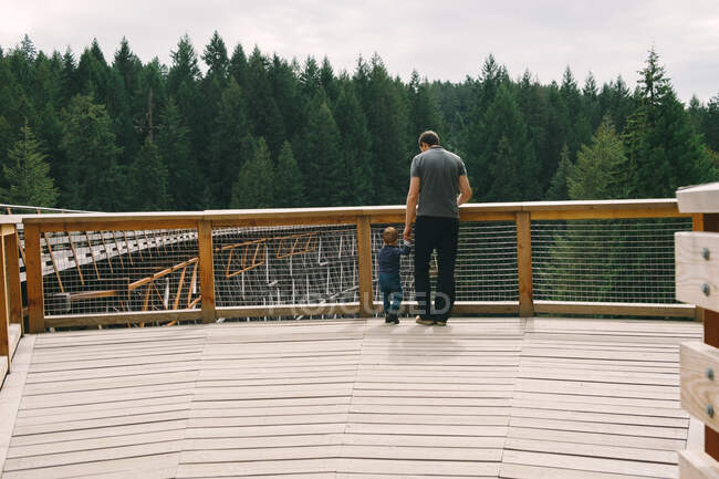 Padre e hijo de pie en el puente, vista trasera, Kinsol Trestle Bridge, Columbia Británica, Canadá - foto de stock