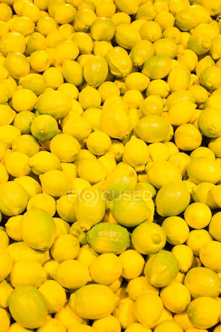 Pila de fruta fresca de limón cosechada - foto de stock