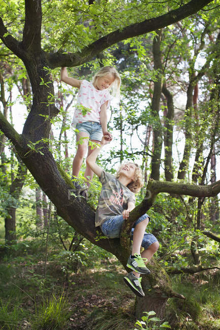Junge und Mädchen im Baum von Angesicht zu Angesicht lächelnd — Stockfoto