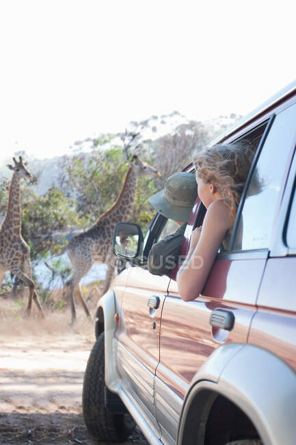 Mujeres mirando jirafas desde el vehículo, Stellenbosch, Sudáfrica - foto de stock