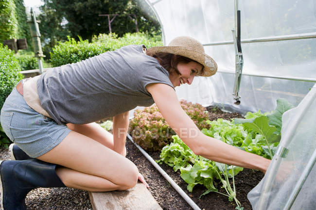 Усміхнена жінка садівництво на задньому дворі — стокове фото