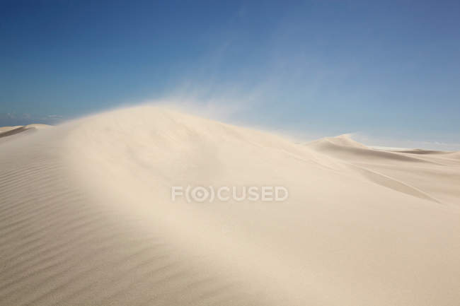 Wind blowing sand on dunes — Stock Photo