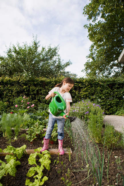 Дівчина поливає рослини на задньому дворі — стокове фото