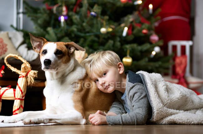 Ragazzo e cane vicino all'albero di Natale — Foto stock