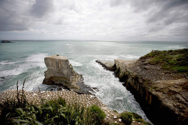 Craggy rocks jutting into ocean — Stock Photo