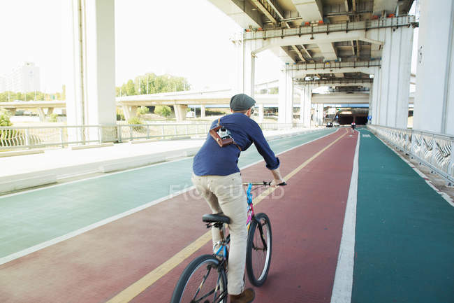 Rear view of male tourist cycling in cycle lane, Seoul, South Korea — Stock Photo