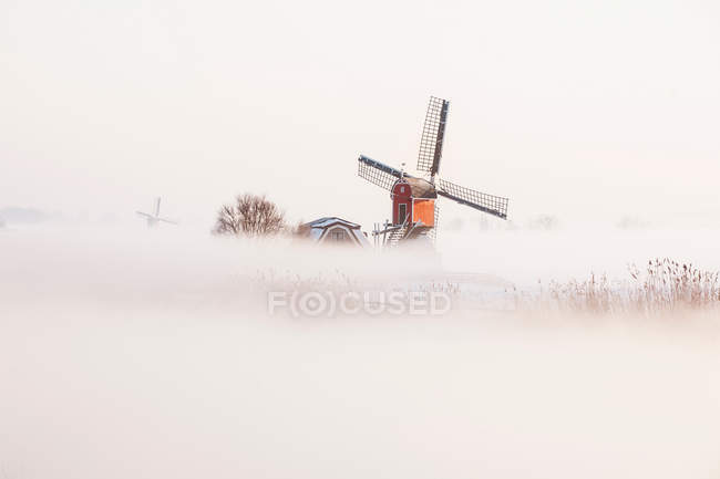 Vieux moulins à vent néerlandais dans le brouillard — Photo de stock