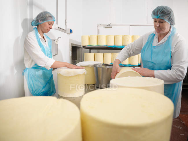 Trabajadores envolviendo quesos redondos en una fábrica de quesos - foto de stock
