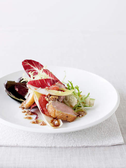 Duck with salad on plate — Stock Photo