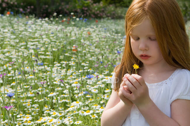Menina colhendo flores no campo — Fotografia de Stock