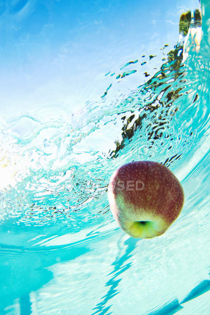 Manzana flotando en la piscina - foto de stock