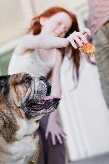 Chica dando perro galleta - foto de stock