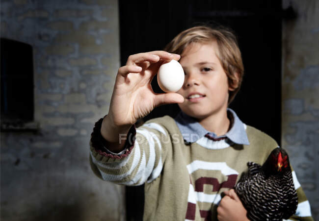 Menino segurando ovo e frango ao ar livre — Fotografia de Stock
