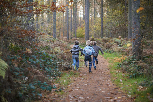 Visão traseira de meninos correndo pela floresta — Fotografia de Stock