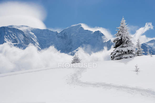 Empreintes à travers la neige fraîche — Photo de stock