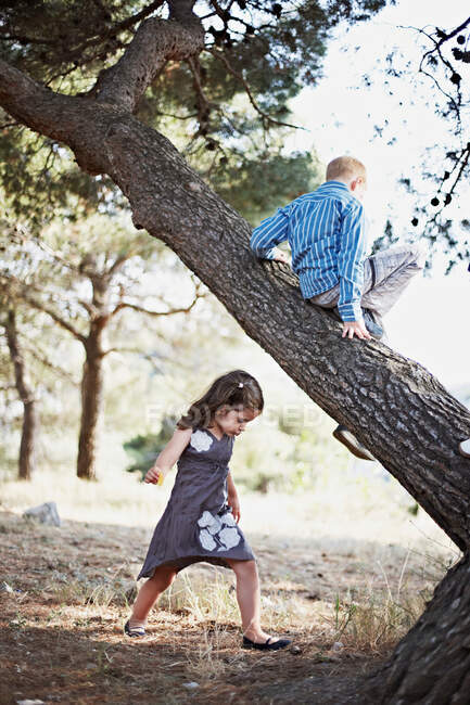 Children climbing trees outdoors — Stock Photo