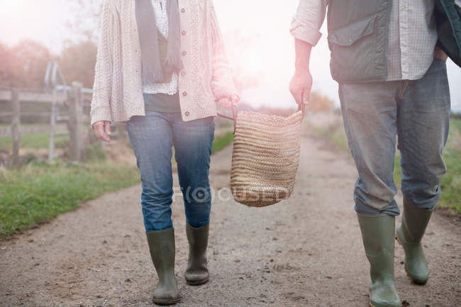 Couple carrying basket in countryside — Stock Photo