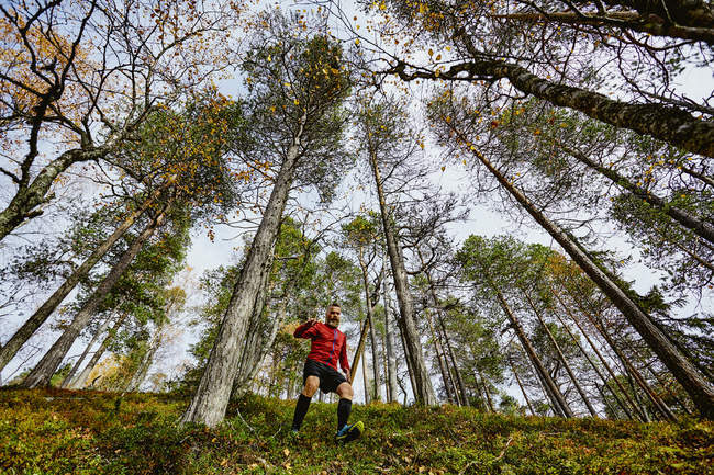 Trail runner descending steep hill, Kesankitunturi, Lapland, Finlândia — Fotografia de Stock
