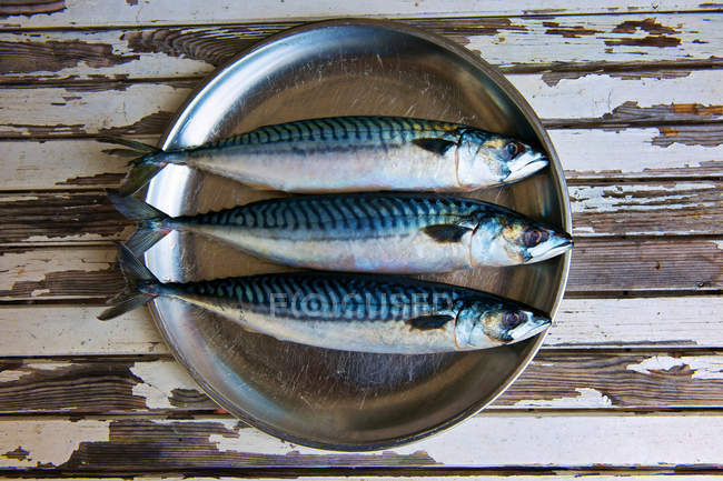 Drei Makrelen auf Teller — Stockfoto
