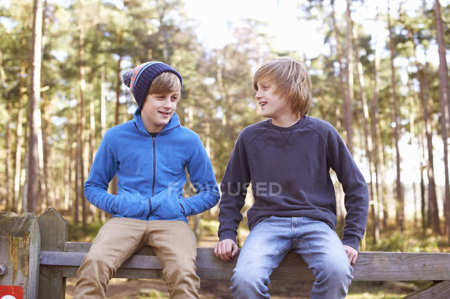 Hermanos gemelos sentados en la puerta del bosque - foto de stock