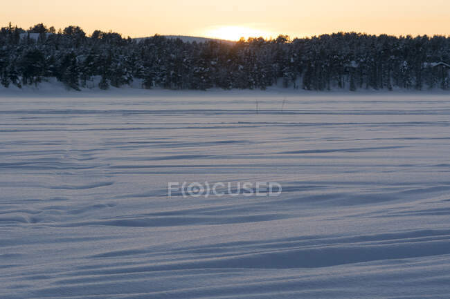 Winter landscape with snow covered trees — Stock Photo