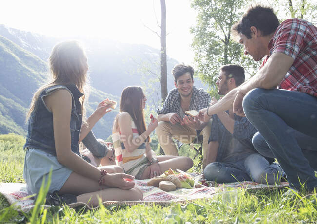 Друзі сидять на пікніку — стокове фото