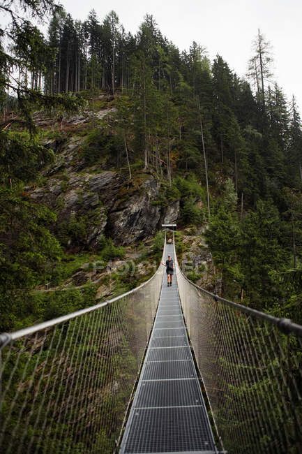 Puente de cuerda sobre bosque - foto de stock