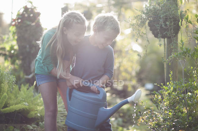 Brother and sister watering plants on allotment — Stock Photo