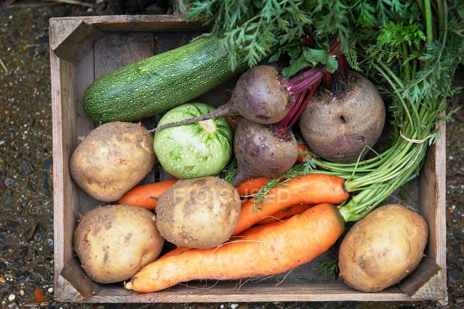 Fresh vegetables in wooden box — Stock Photo
