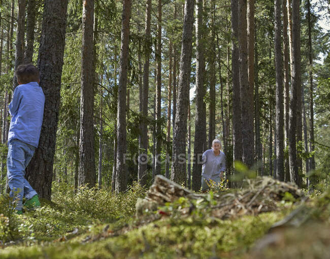 Мать и сын играют в прятки в лесу — стоковое фото