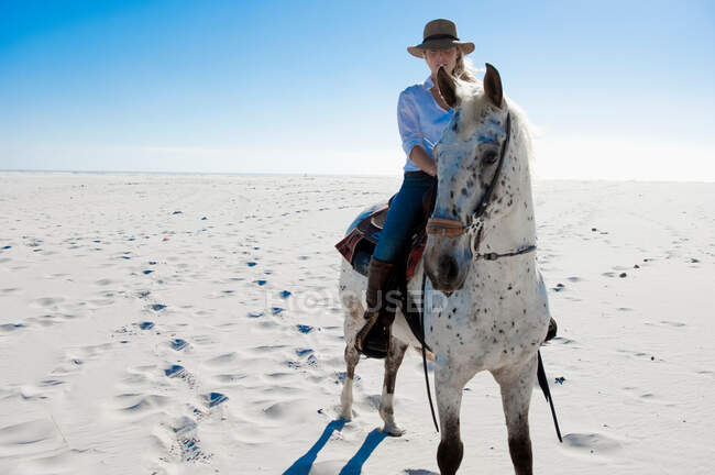 Passeios a cavalo na areia — Fotografia de Stock