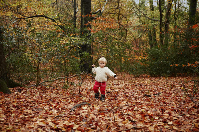 Niño caminando en hojas de otoño - foto de stock