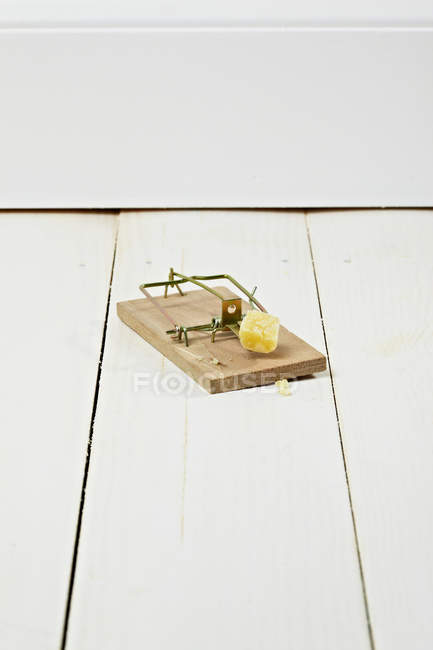 Pedaço de queijo em ratoeira — Fotografia de Stock