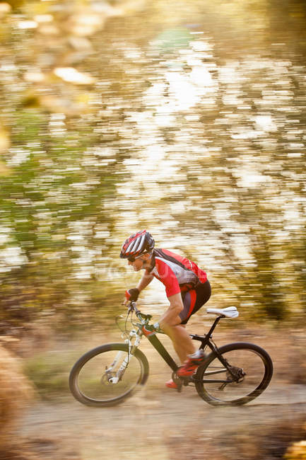 Mountain biker riding in forest — Stock Photo