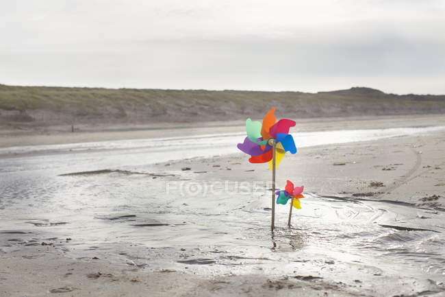 Paper windmills on beach — Stock Photo