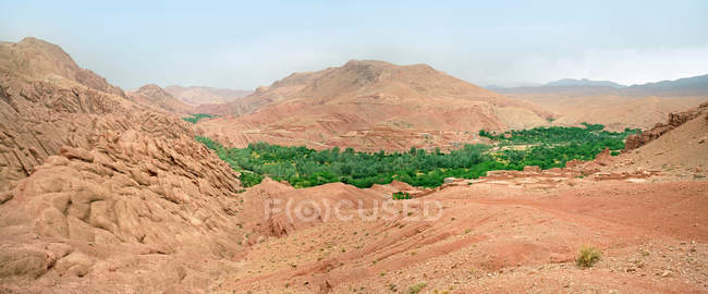 Oasis verde en el desierto - foto de stock