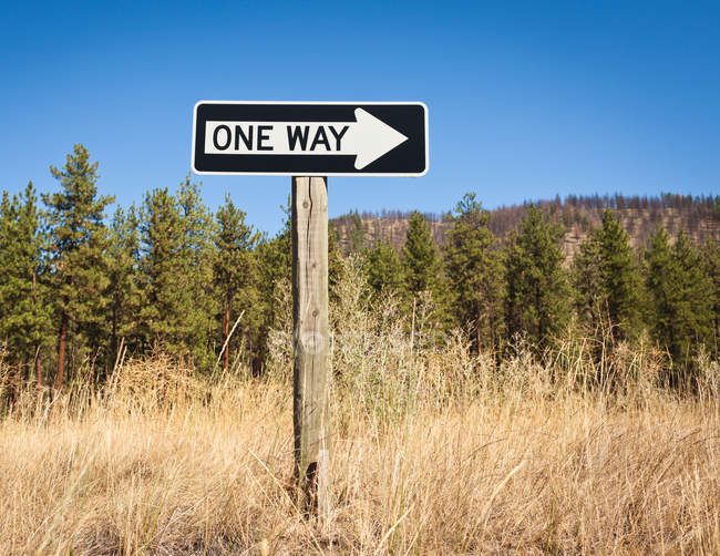 One Way sign on field — Stock Photo