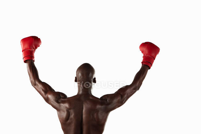 Boxeador animando con los puños en el aire - foto de stock