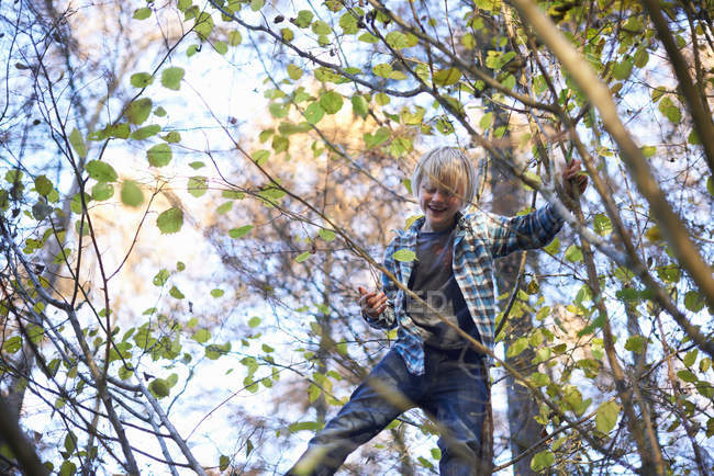 Elementary age boy climbing on tree in autumnal park — Stock Photo