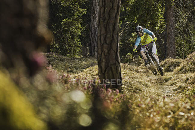Joven ciclista de montaña en bicicleta cuesta abajo en el bosque - foto de stock