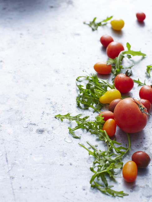Tomatoes with rocket on blue — Stock Photo
