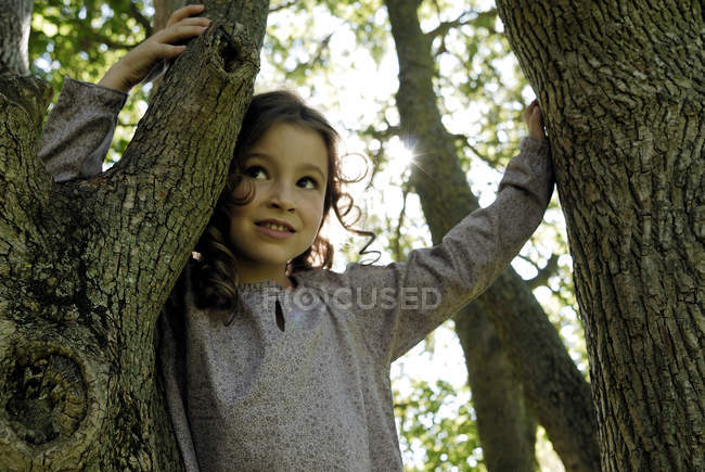 5 años niña de pie junto a un árbol - foto de stock