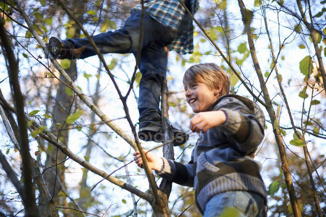 Elementary age boys climbing on tree in autumnal park — Stock Photo