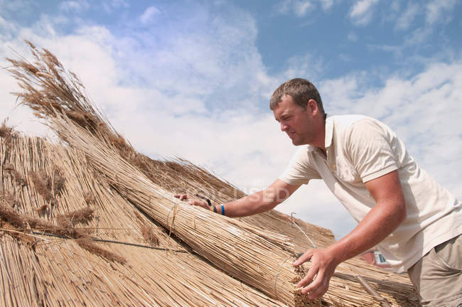 Человек работает на соломенной крыше — стоковое фото