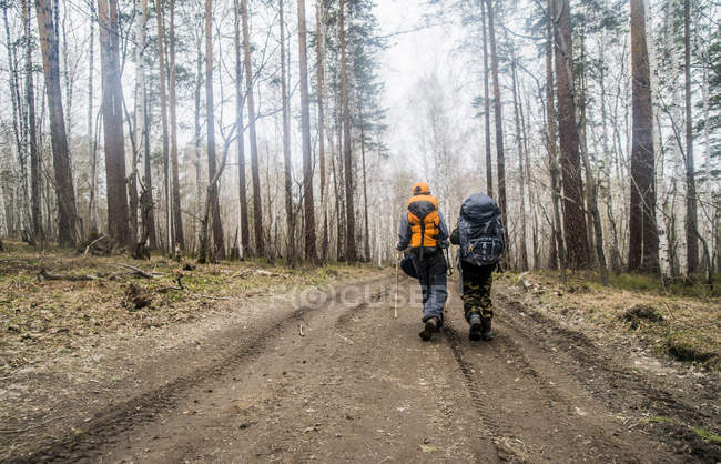 Vista trasera de niños excursionistas senderismo en pista de tierra del bosque - foto de stock